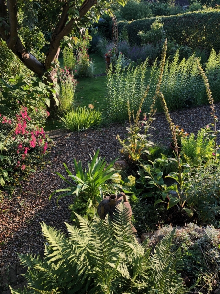 Terrace House Garden